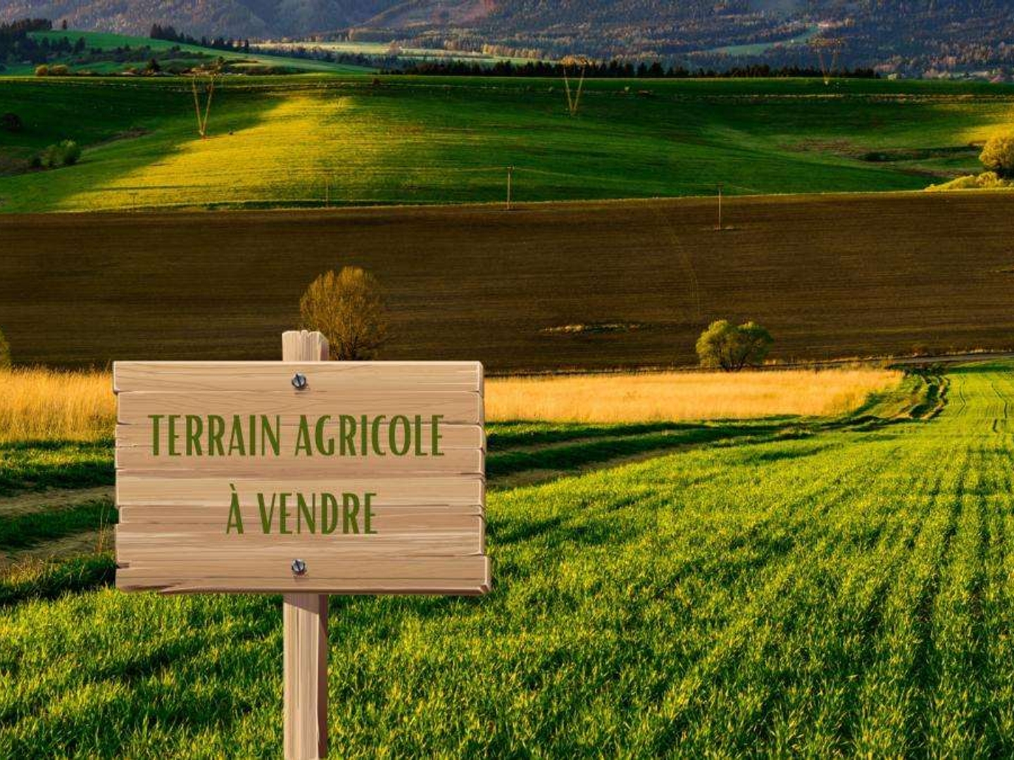 Terrain 6785 m²