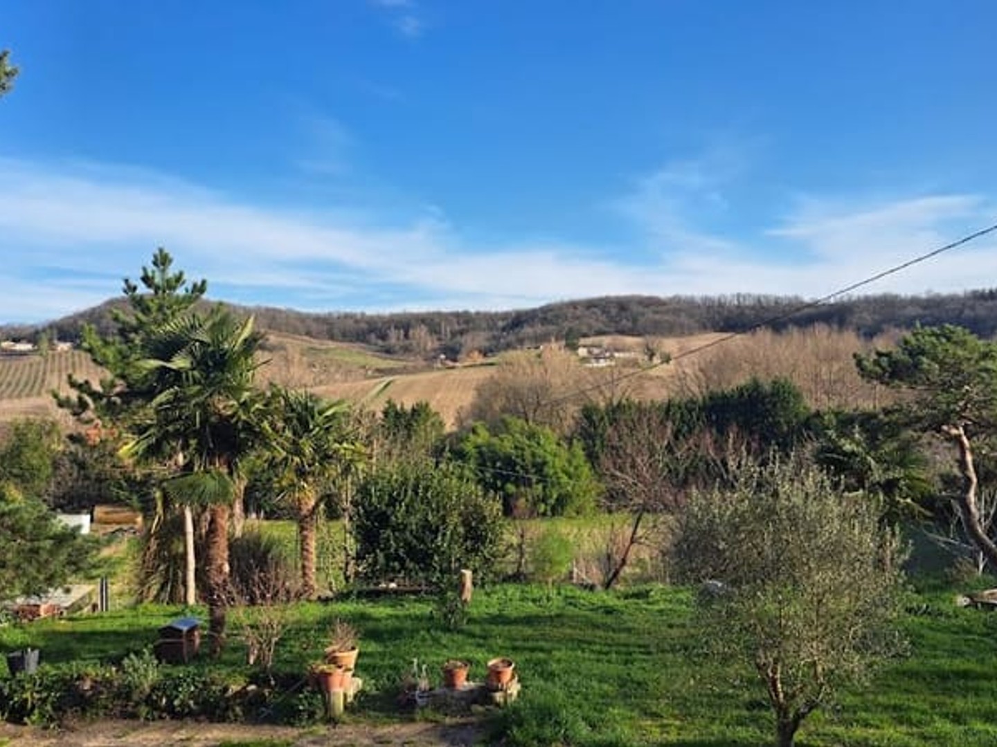 Locaux à vendre - 980m2 - Castelnau Montrat... (46170)