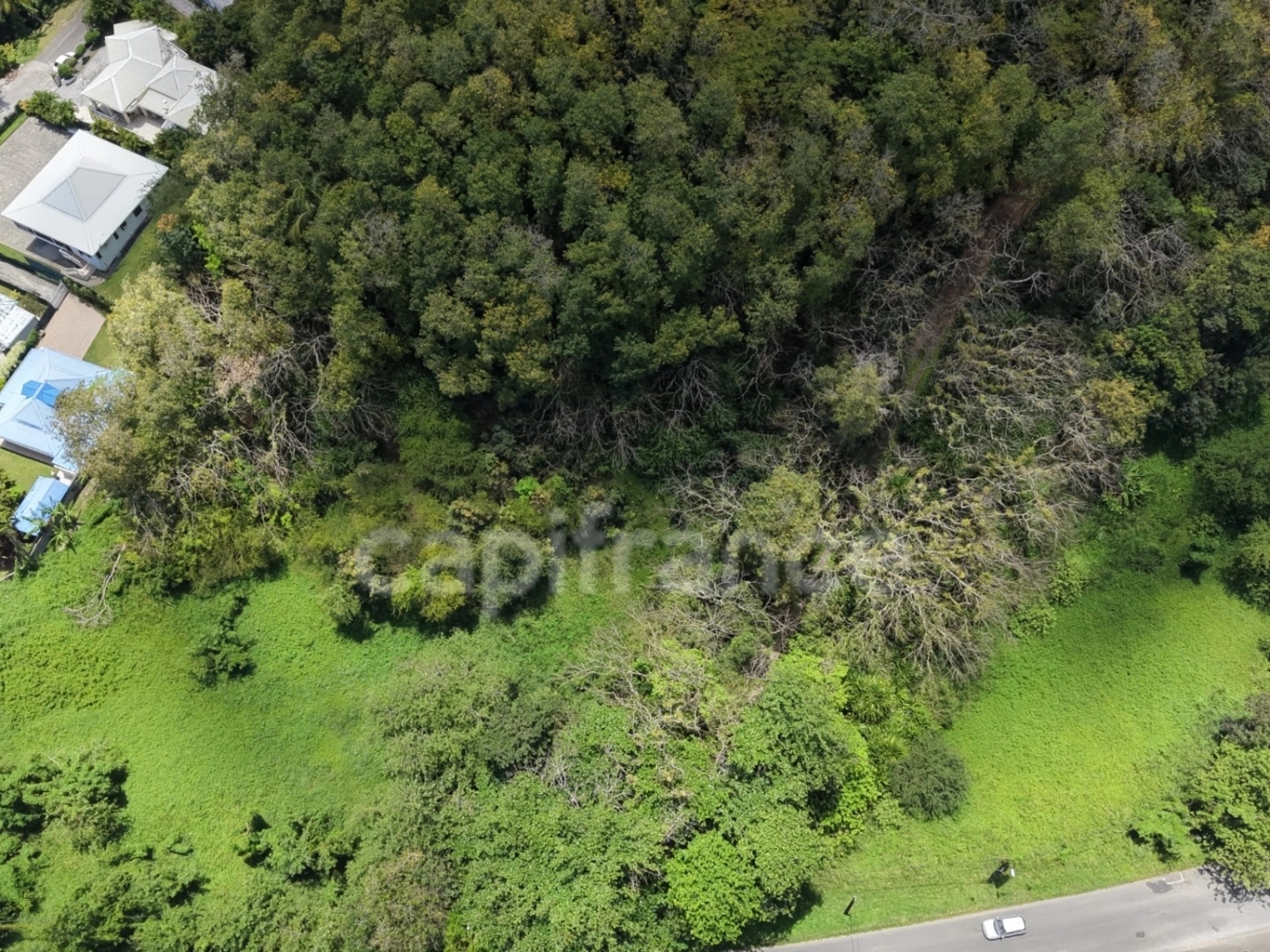 Terrain 3000 m²