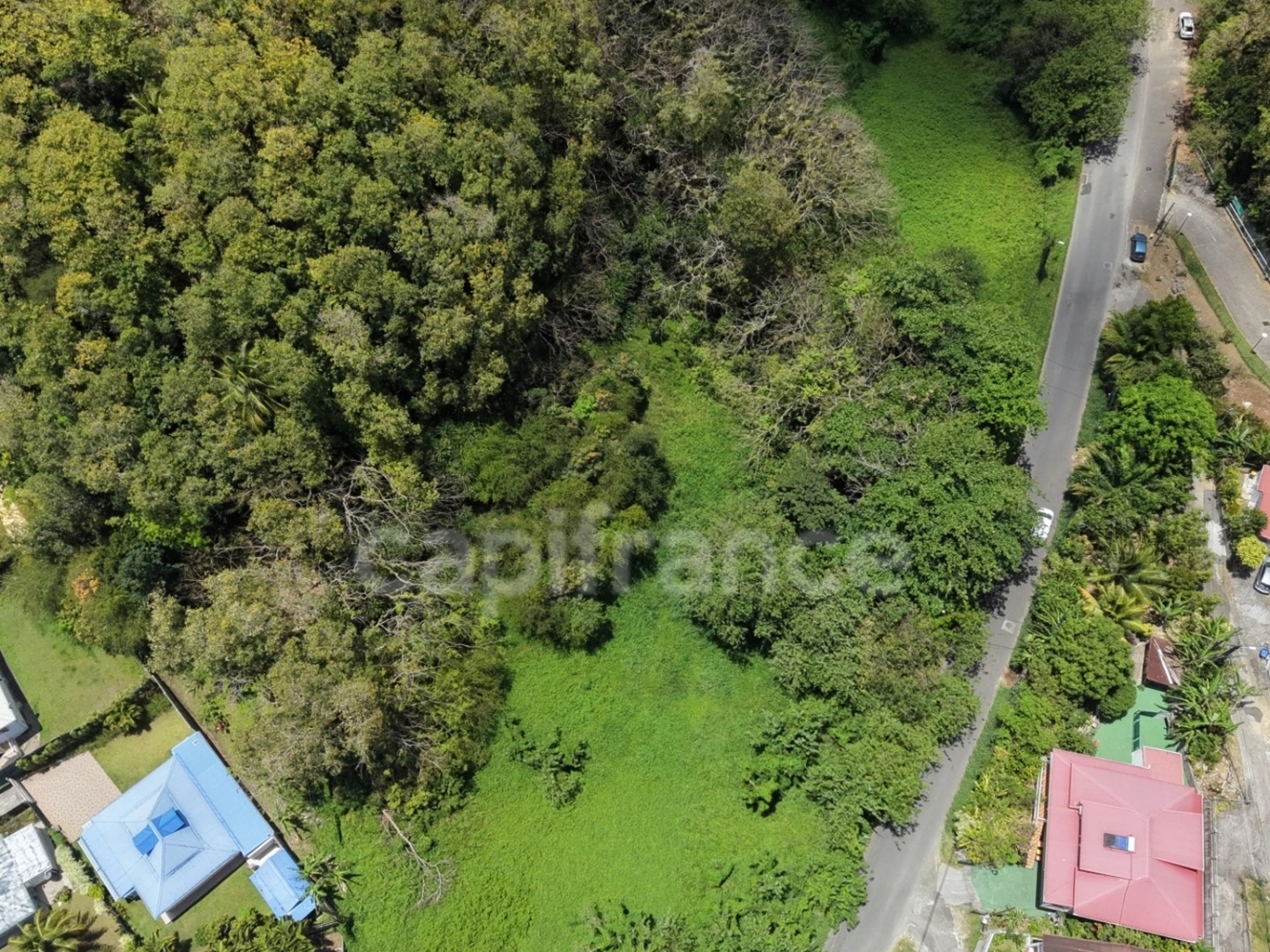 Terrain à vendre - 3000m2 - Les Abymes (97139)