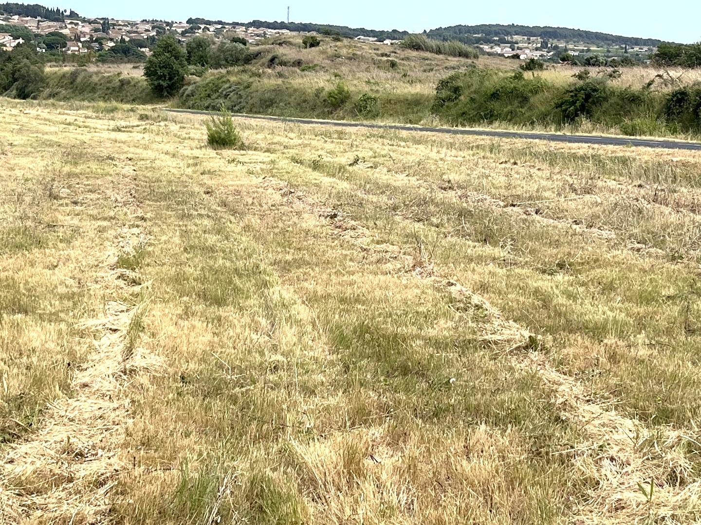 Terrain à vendre - 3789m2 - Lespignan (34710)