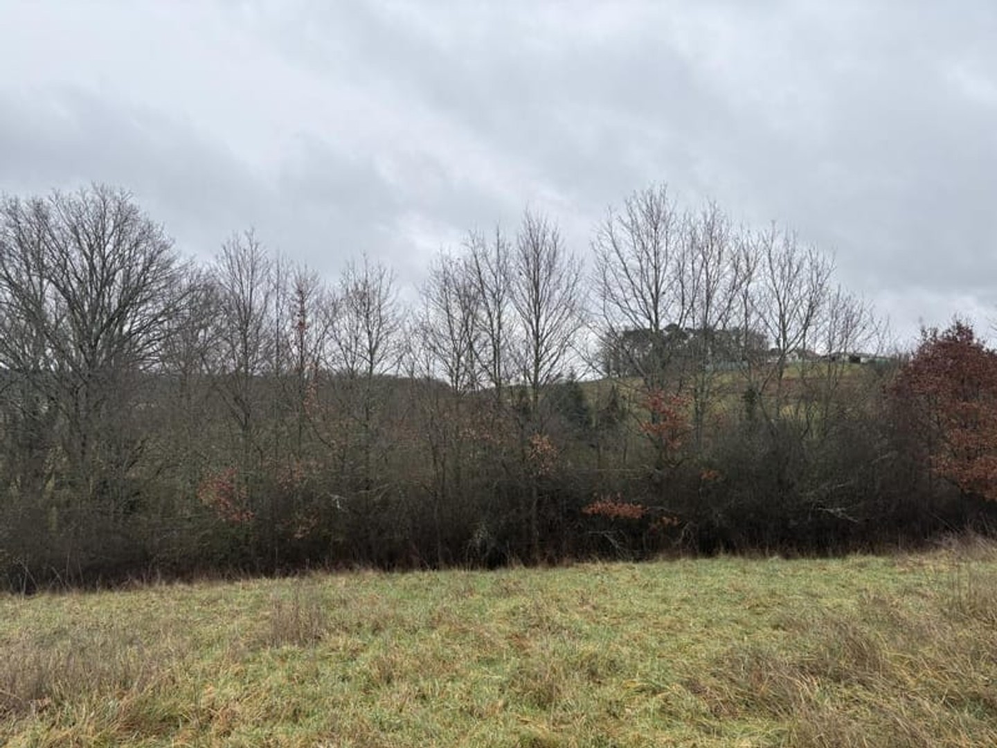 TERRAIN A BATIR - SAINT PIERRE DE CHIGNAC