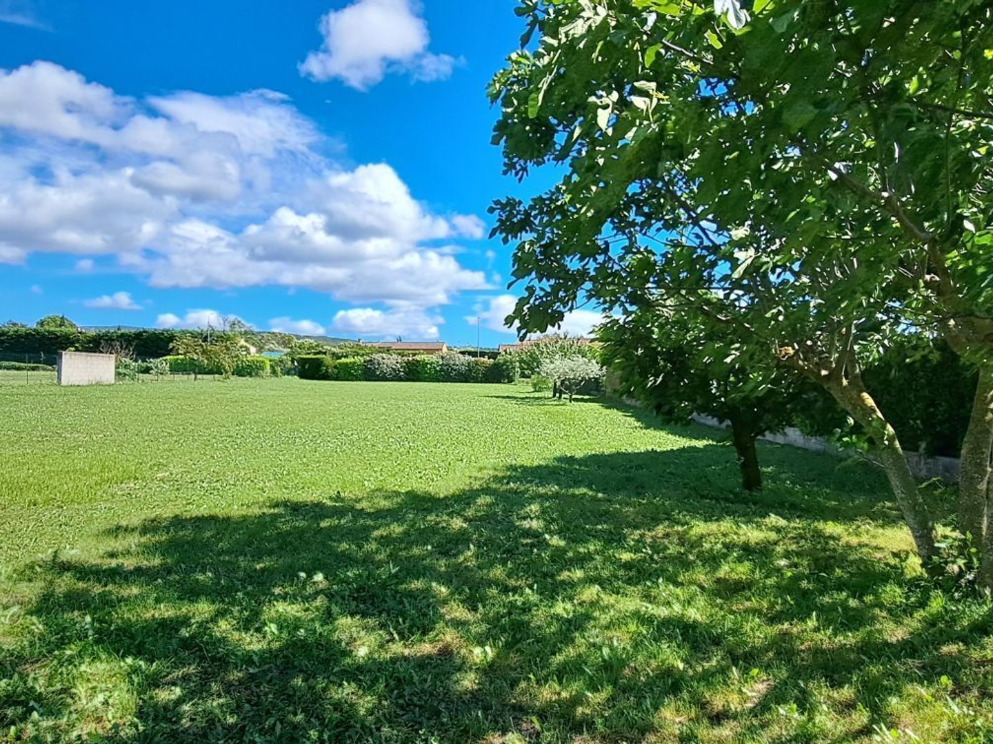 Terrain 1900 m²