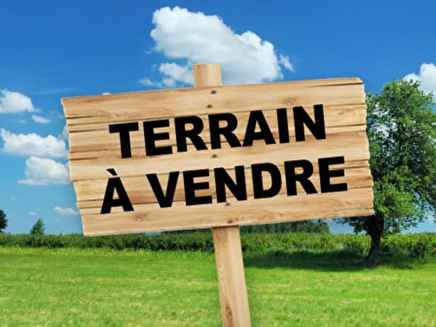 Terrain 296 m²