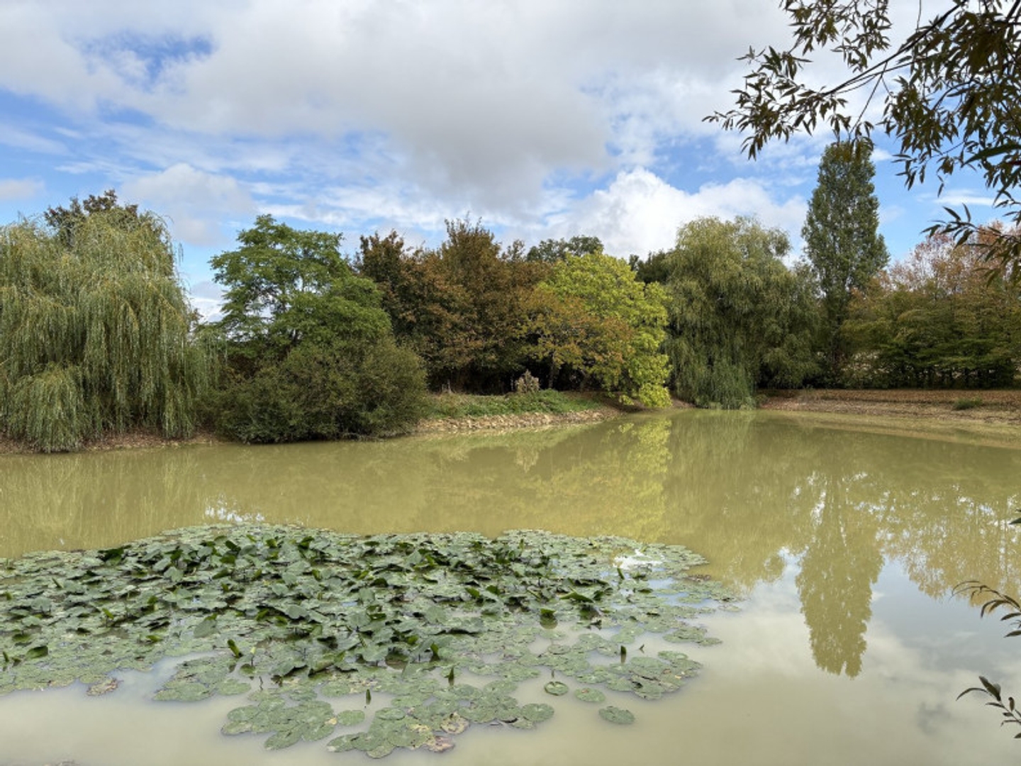 Etang 5740 m²