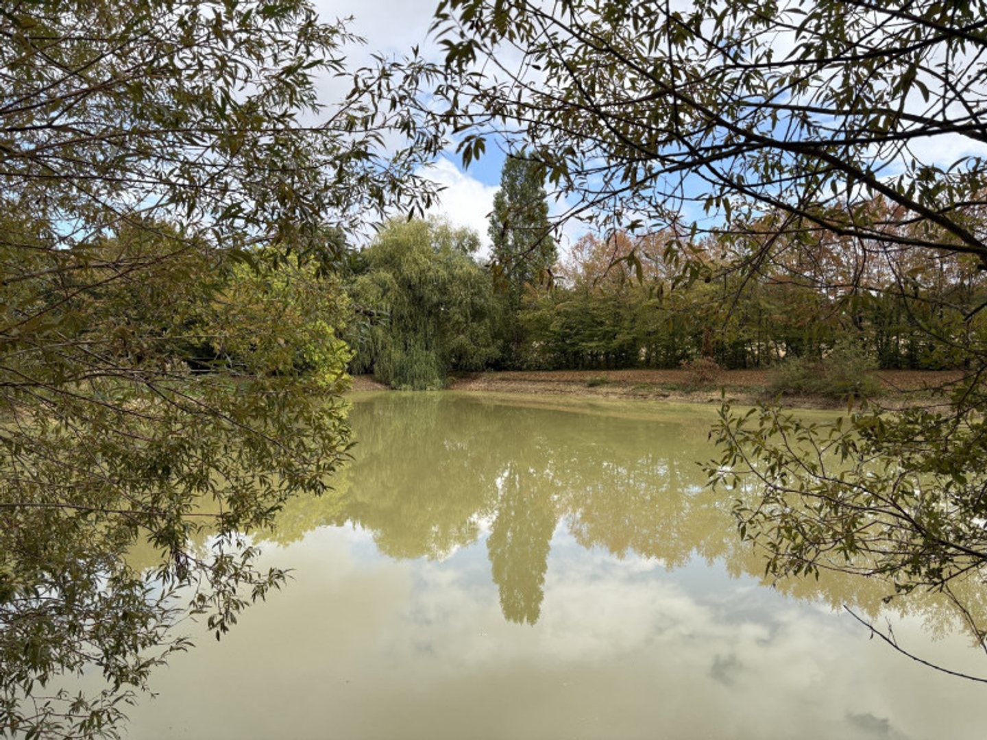 Terrain à vendre - 5740m2 - Bouesse (36200)