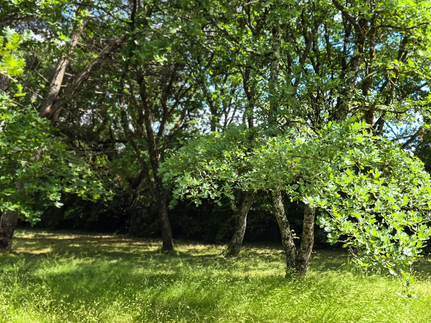 Terrain à vendre - 1011m2 - Uzès (30700)
