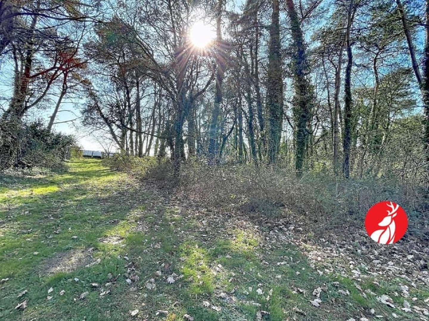 Maison à vendre - 6 pièces - 145m2 - Barbizon (77630)