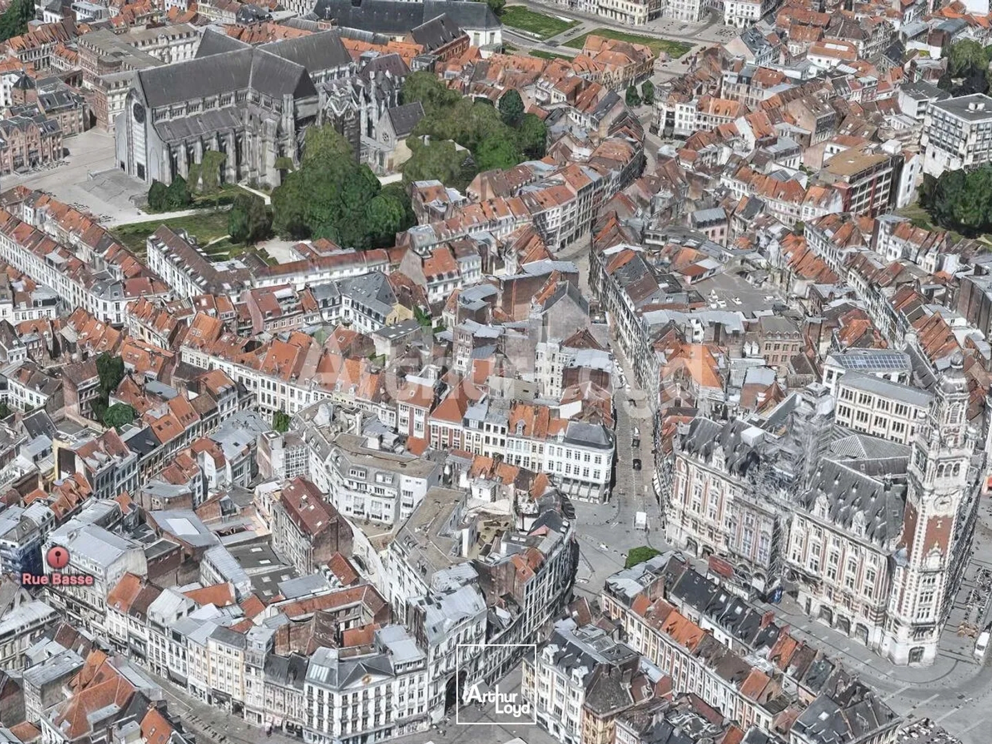Vente locaux commerciaux immeuble ancien à Lille avec façade de 11 mètres linéaires