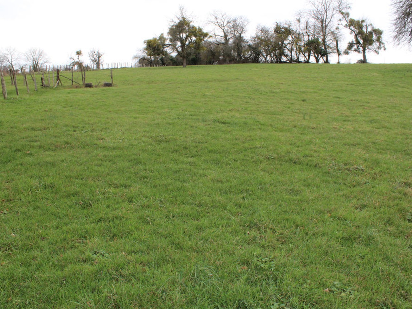 Terrain sur la commune de Vielley de 1000 m constructible viabilisé.