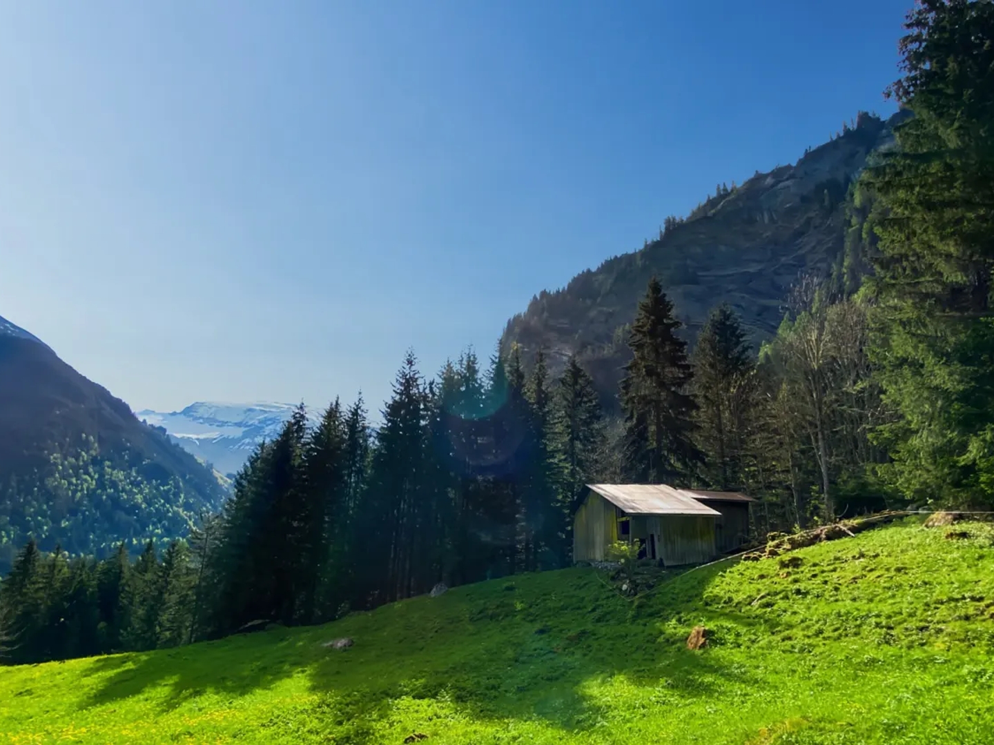 Chalet d'alpage - opportunité rare à ne pas manquer !
