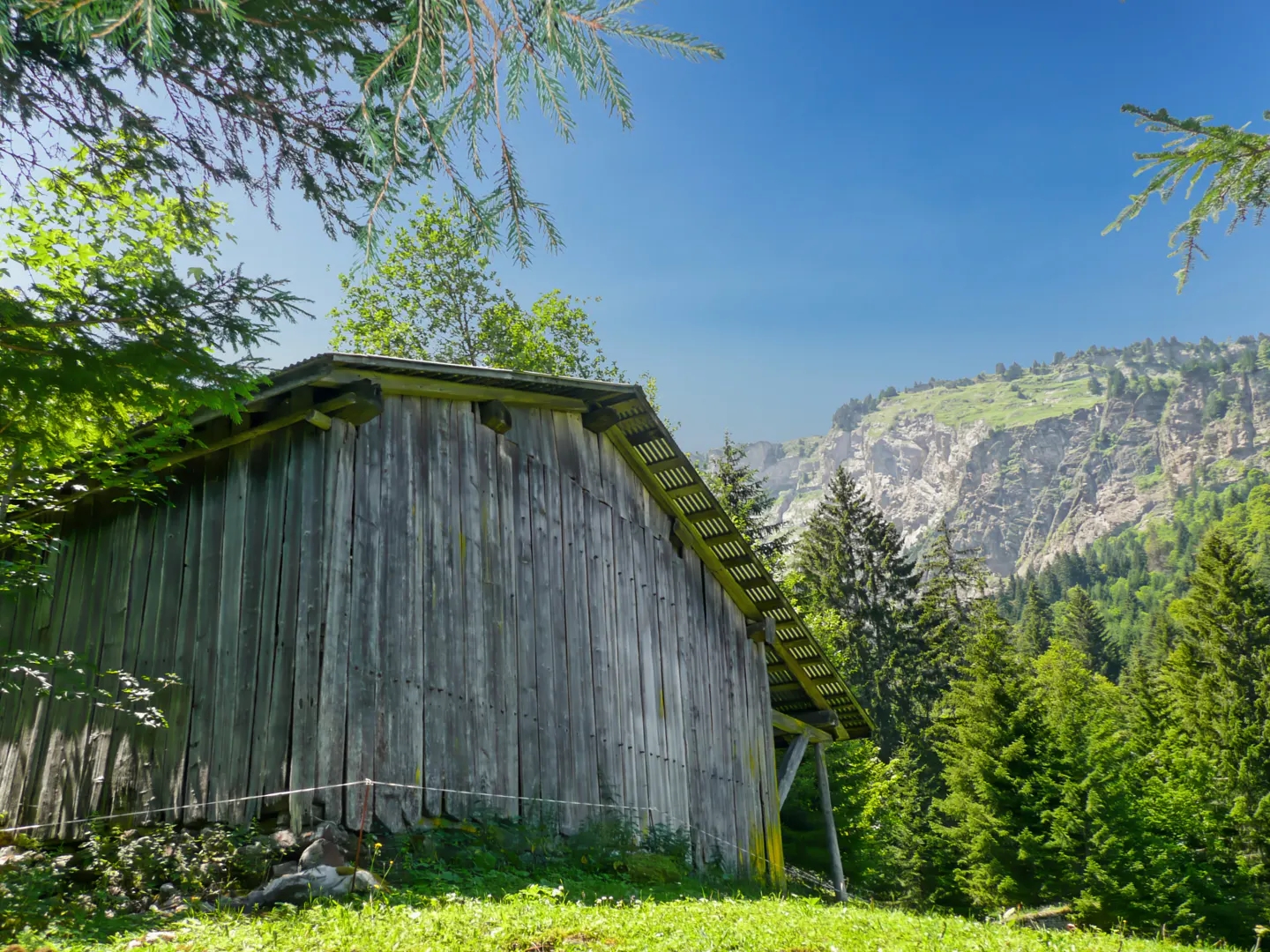 Chalet d'alpage - opportunité rare à ne pas manquer !
