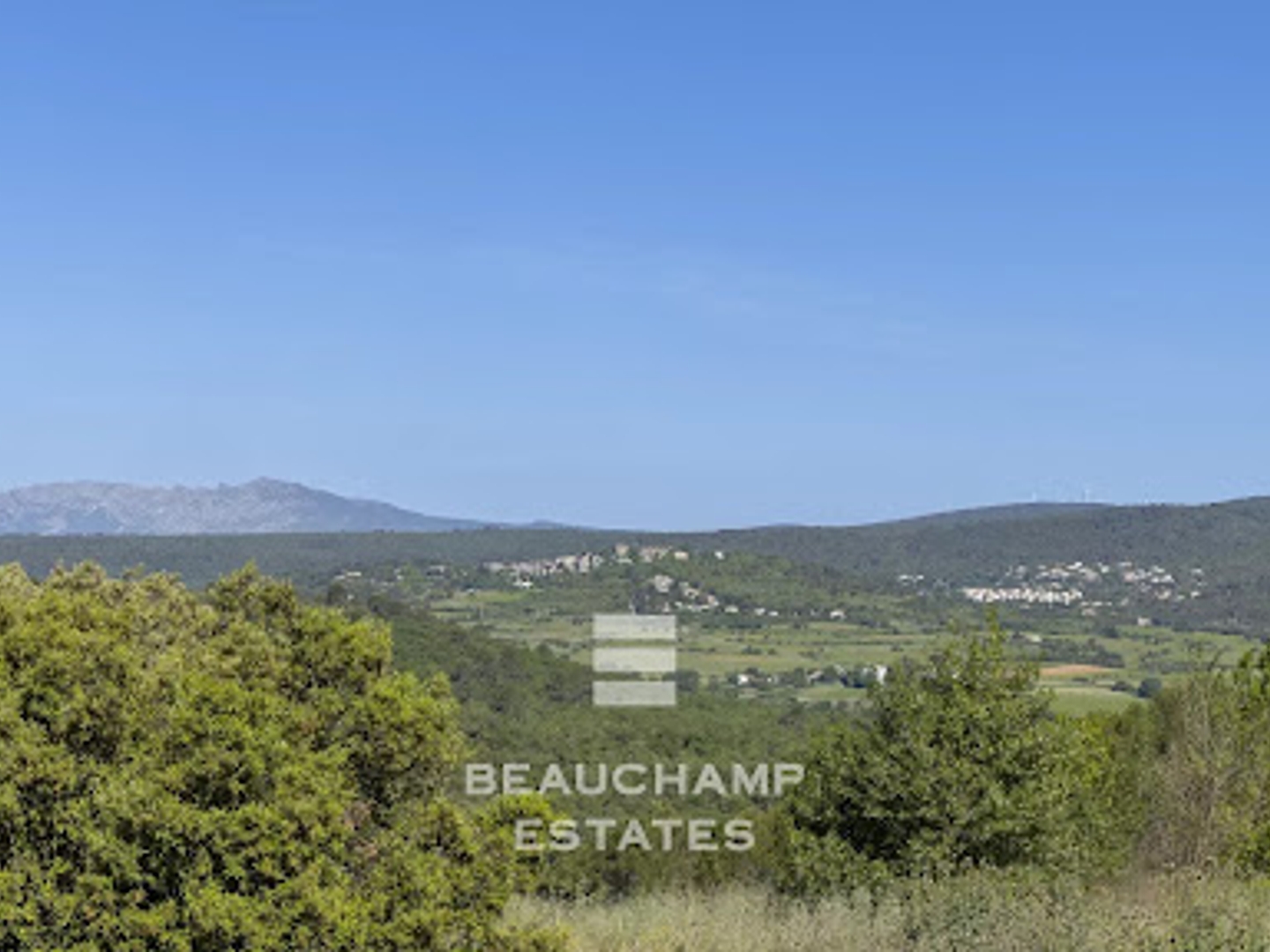 Vignoble 2500000 m²