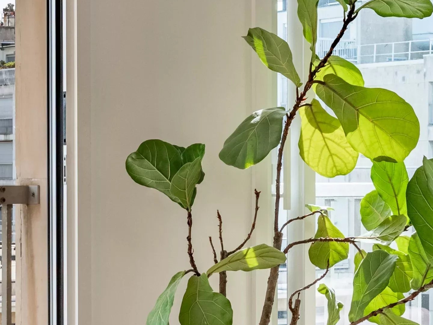 Appartement à vendre - 5 pièces - 154m2 - Paris 6e (75006)