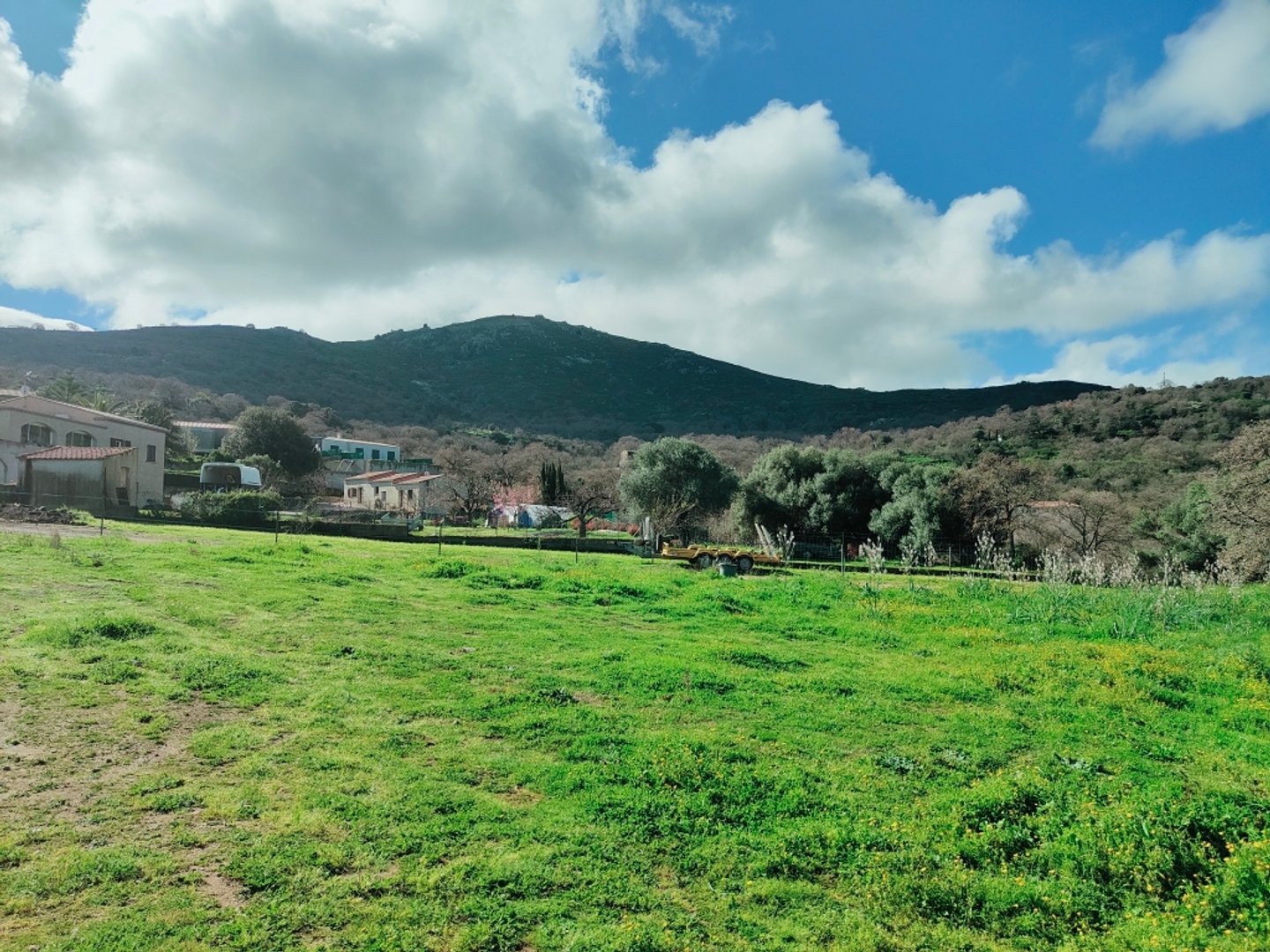 Terrain à vendre - 2247m2 - Lavatoggio (20225)