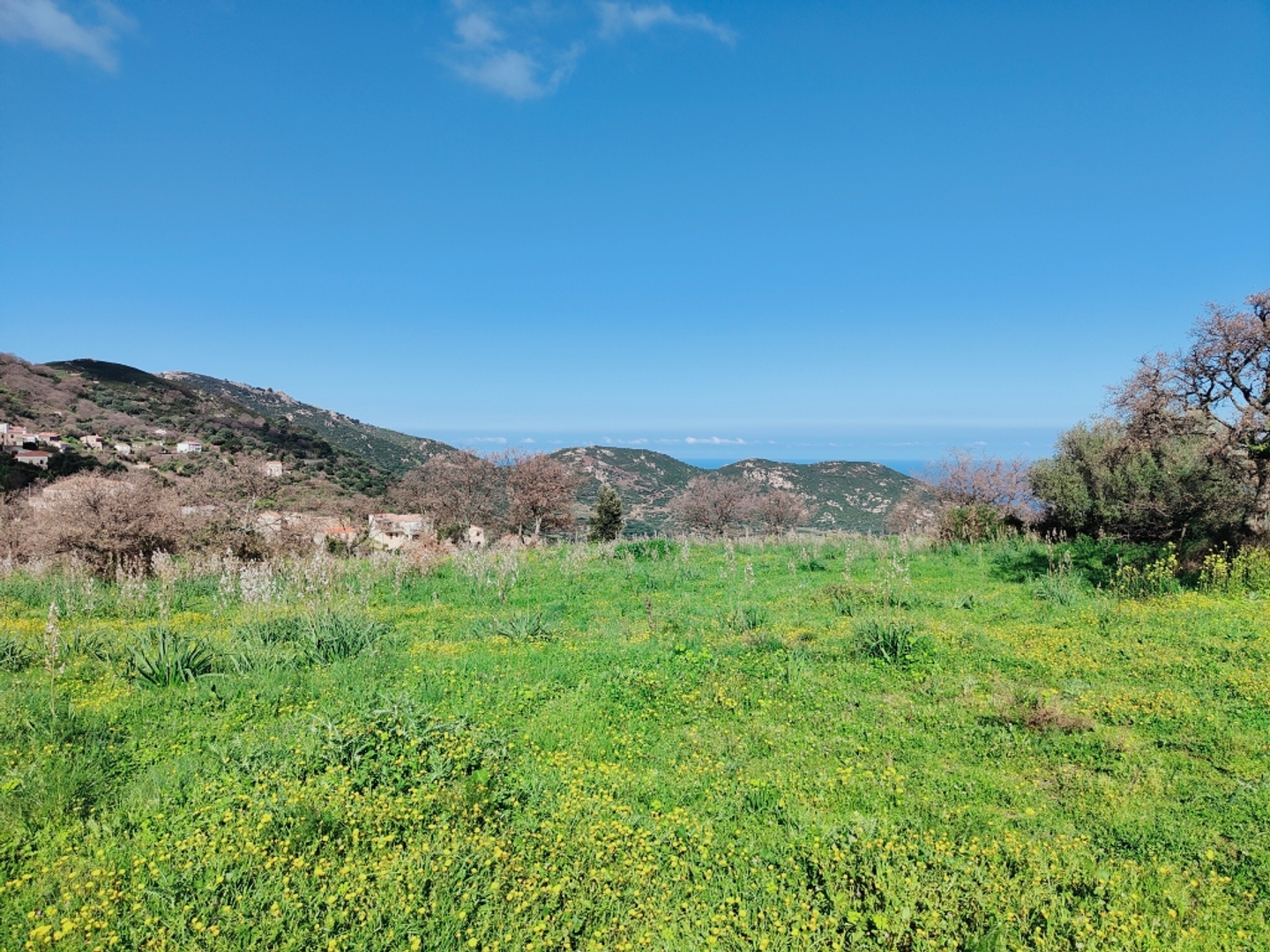 Terrain à vendre - 2247m2 - Lavatoggio (20225)