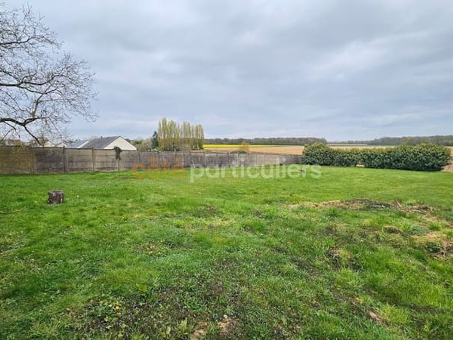 Terrain 1546 m²