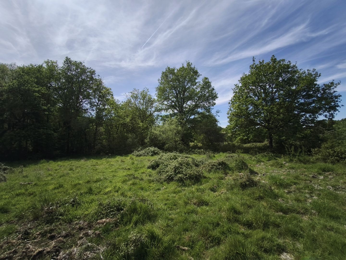 Autre à vendre - 80000m2 - Loreux (41200)