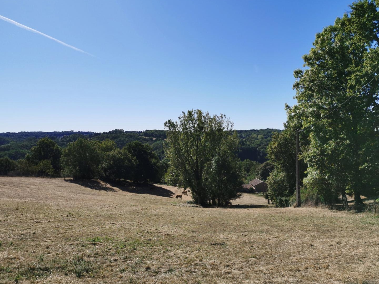 Terrain constructible