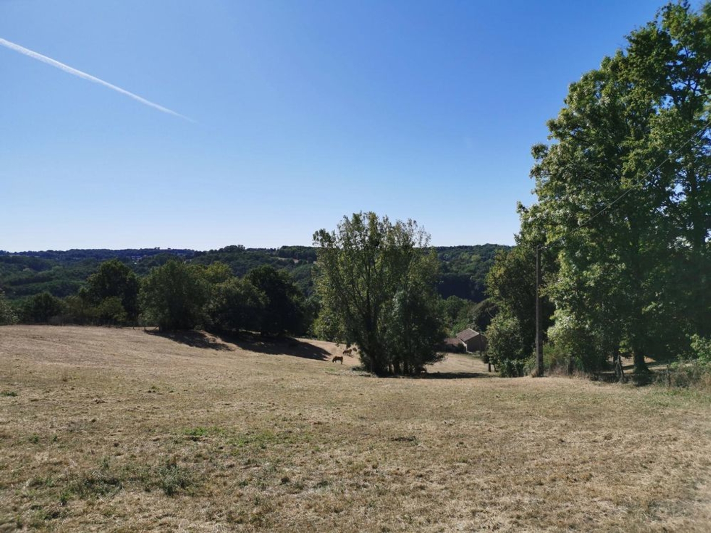 Terrain constructible