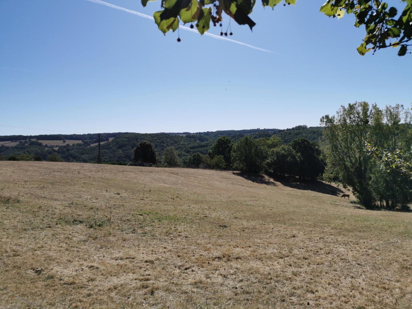Terrain à vendre - 3691m2 - Nontron (24300)