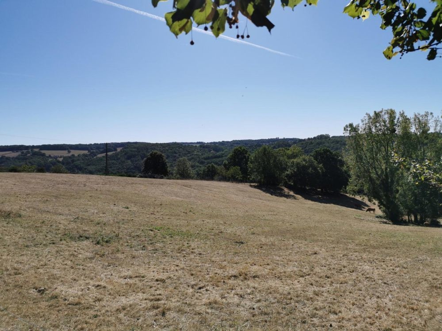 Terrain à vendre - 3691m2 - Nontron (24300)