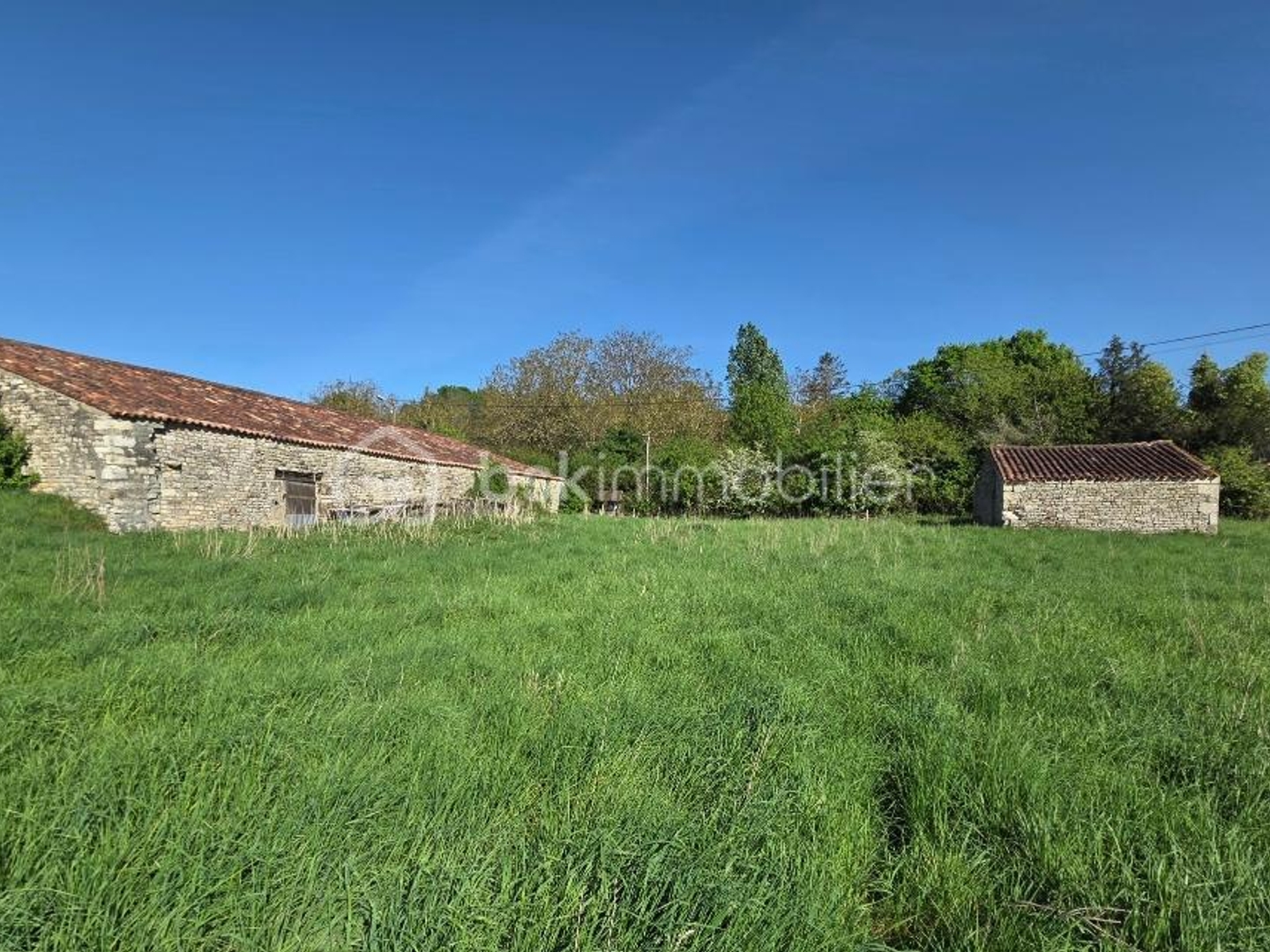 Maison à vendre - 1160m2 - Xanton-Chassenon (85240)