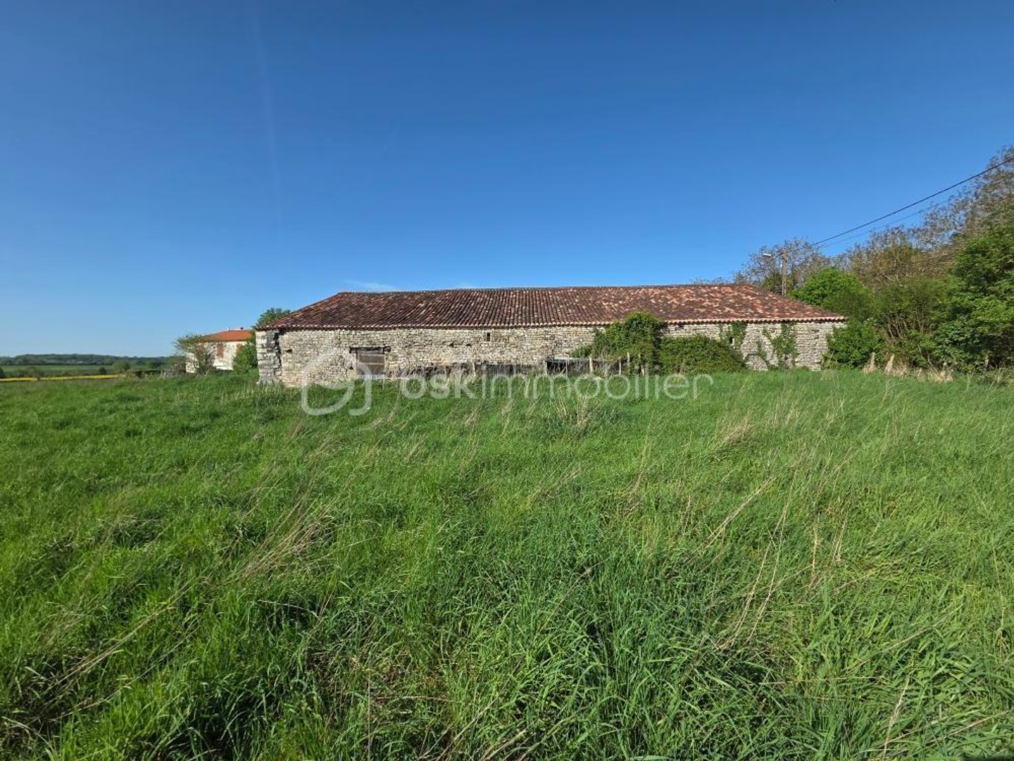 Maison à vendre - 1160m2 - Xanton-Chassenon (85240)