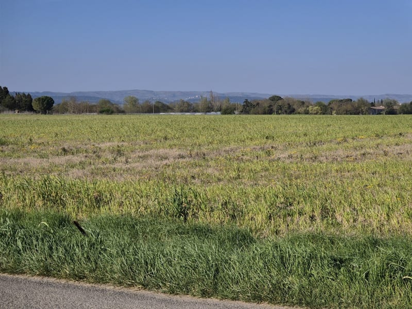 Terres Agricoles Entre Pexiora Et Villasavary