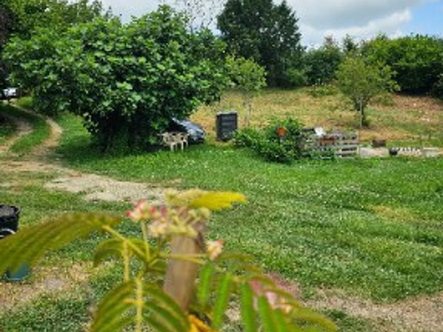 Terrain à vendre - Cazères-Sur-L'adour (40270)