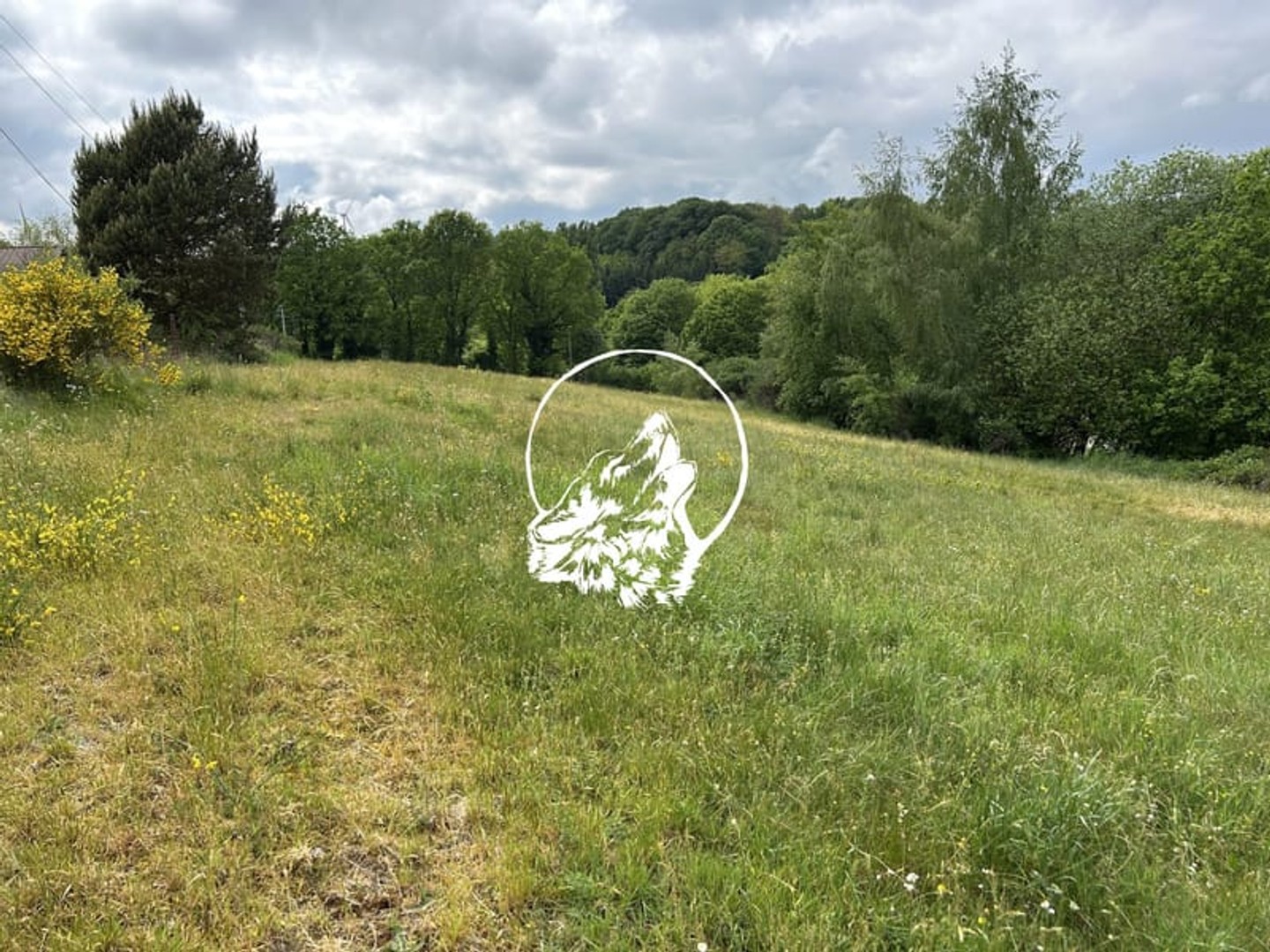 Terrain 6763 m²