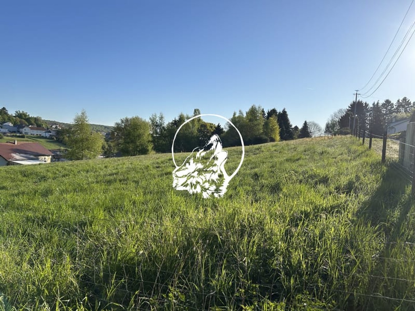 Terrain à vendre - 6763m2 - Longeville-Lès-Sa... (57740)