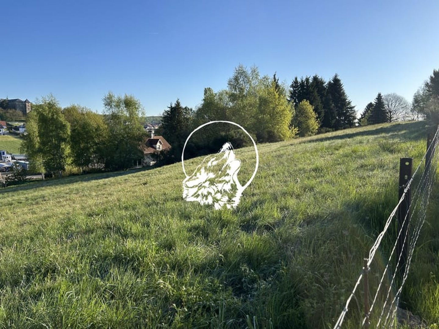Terrain à vendre - 6763m2 - Longeville-Lès-Sa... (57740)