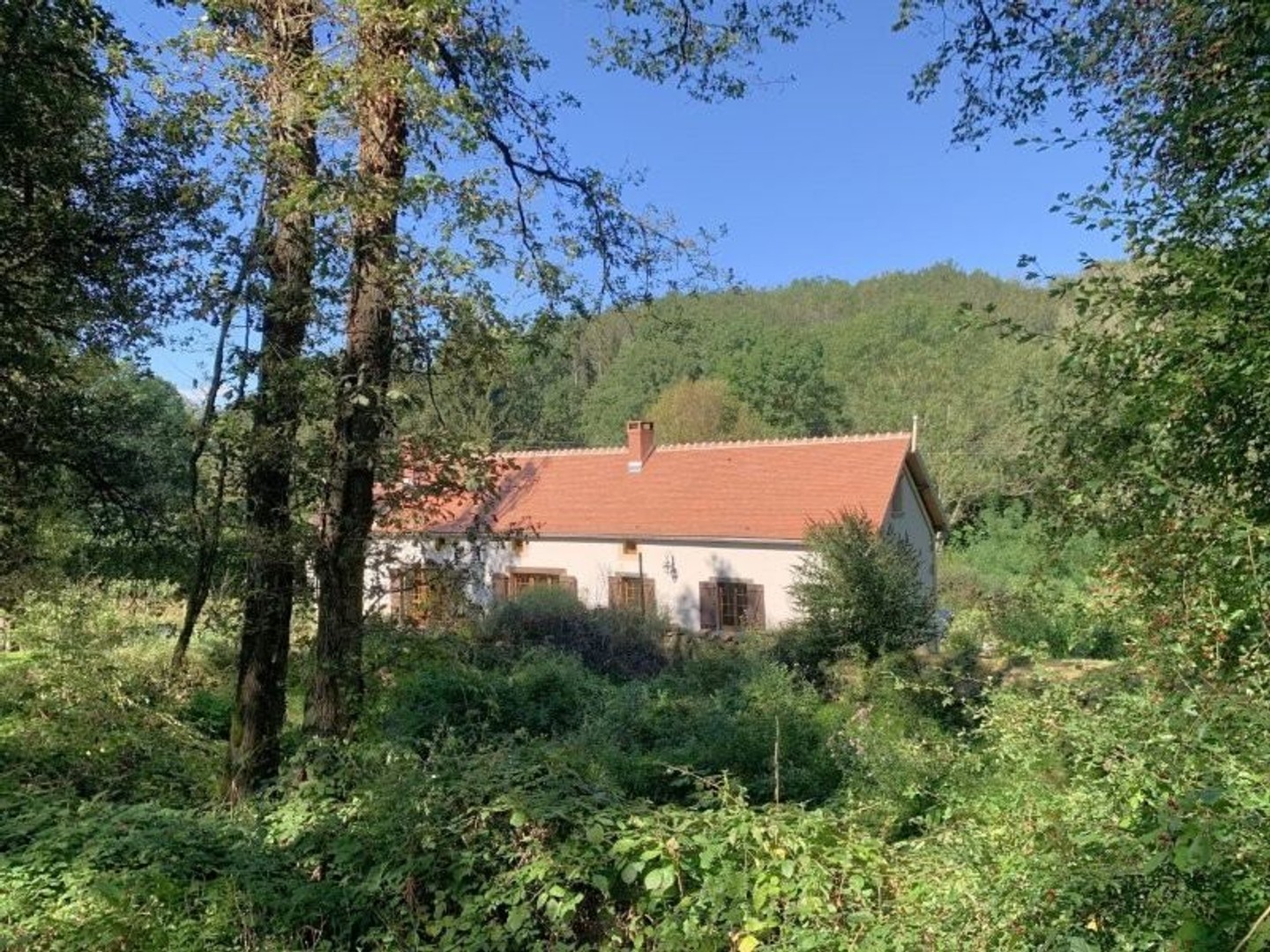 Moulin 14 pièces 420 m²