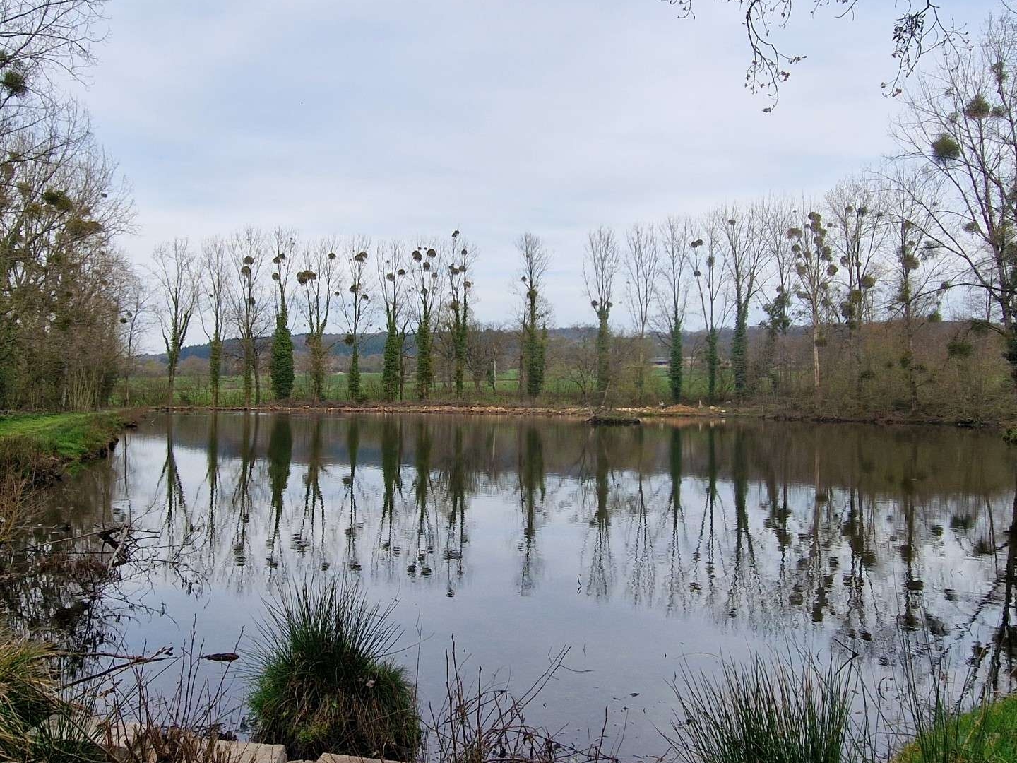 Terrain 21950 m²