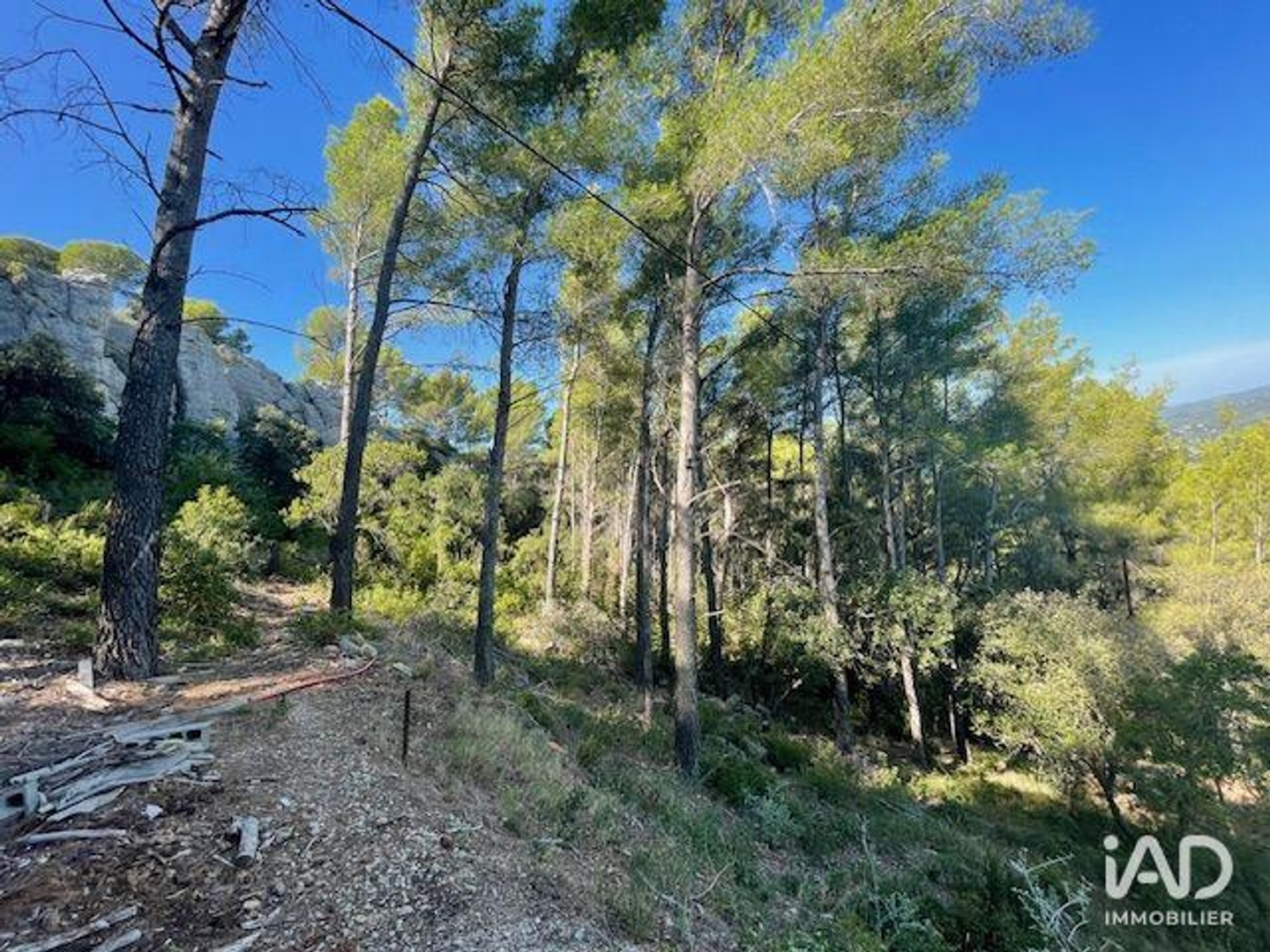 Terrain à vendre - 5430m2 - La Cadière-D'azur (83740)