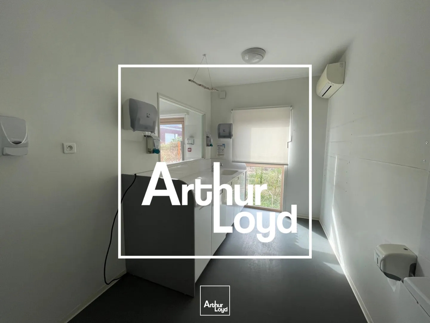 Locaux à vendre - 439m2 - Vendargues (34740)