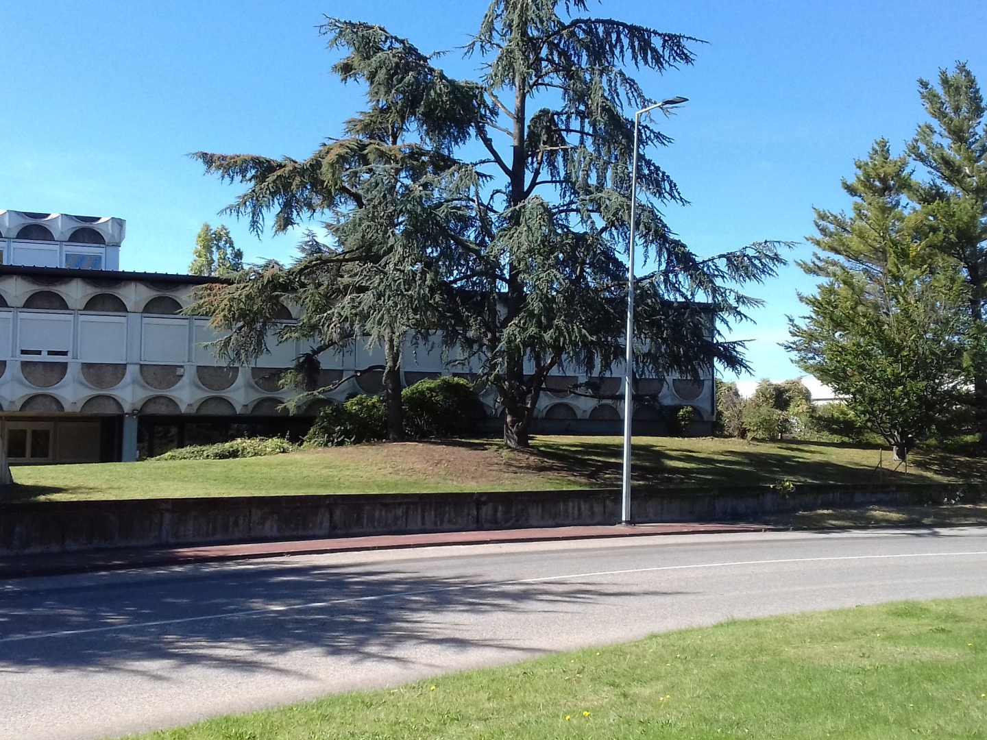 Local commercial 3500 m²