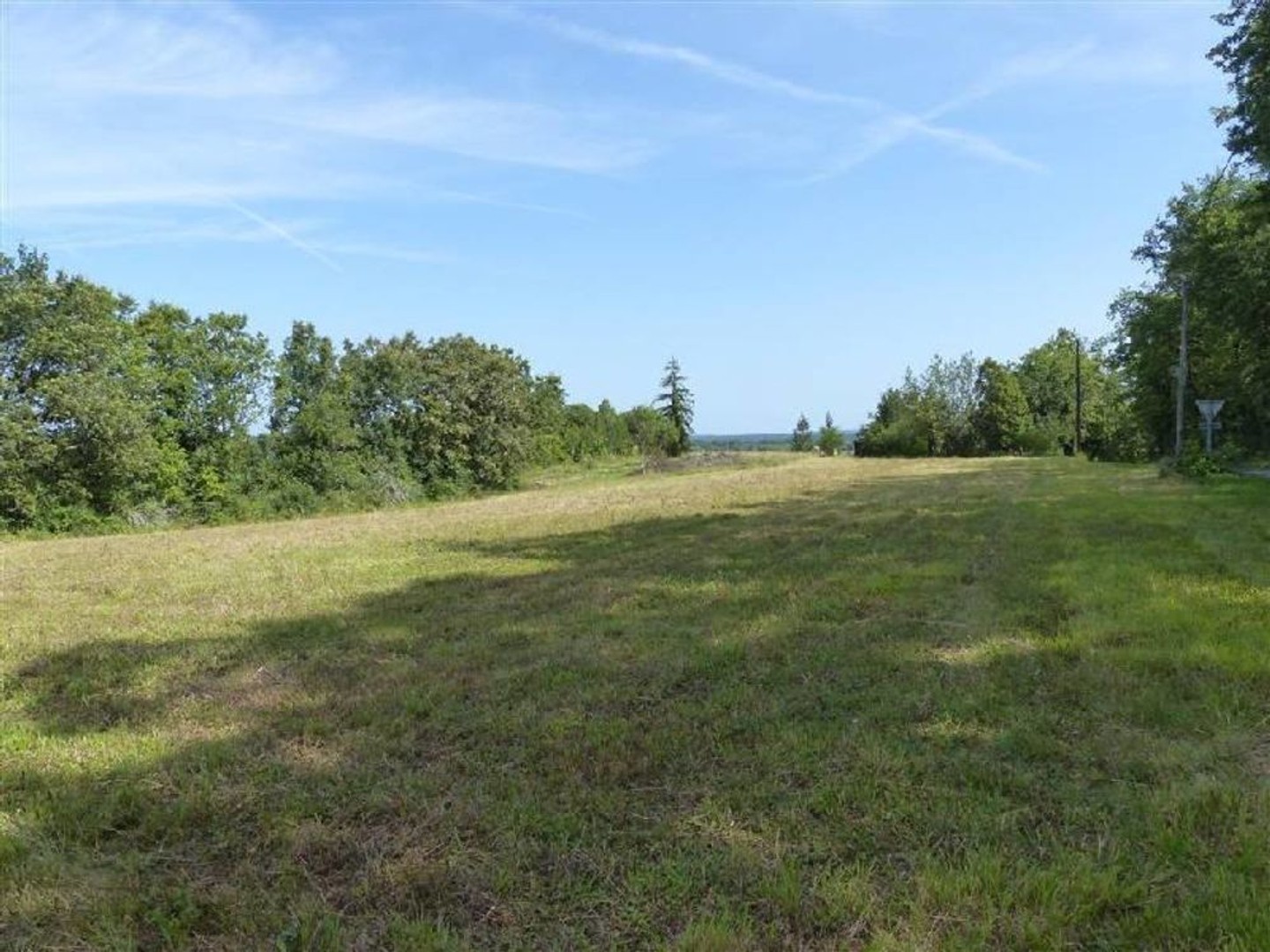 Terrain