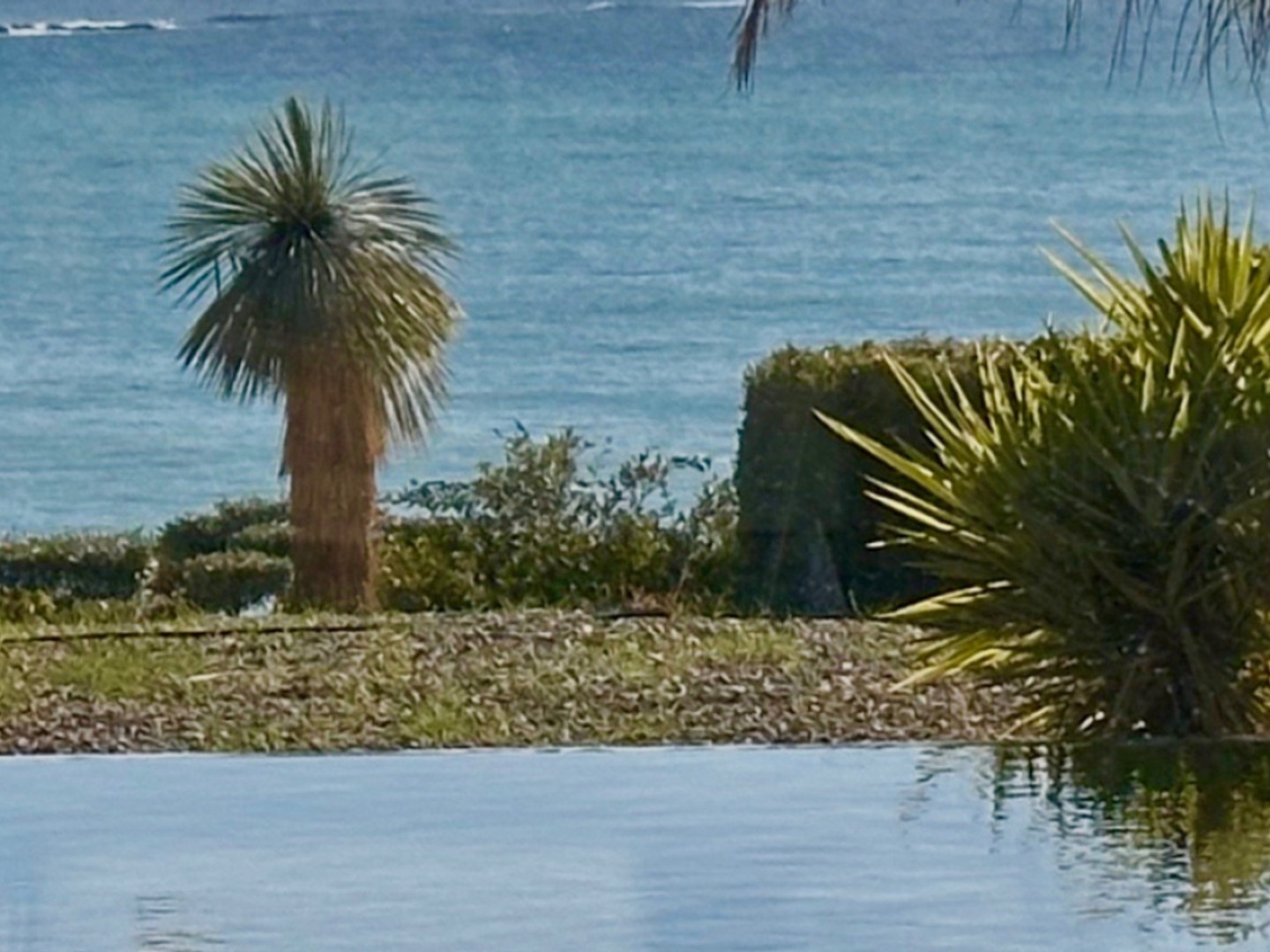 BANDOL 83150- VILLA D'EXCEPTION AVEC VUE MER PANORAMIQUE