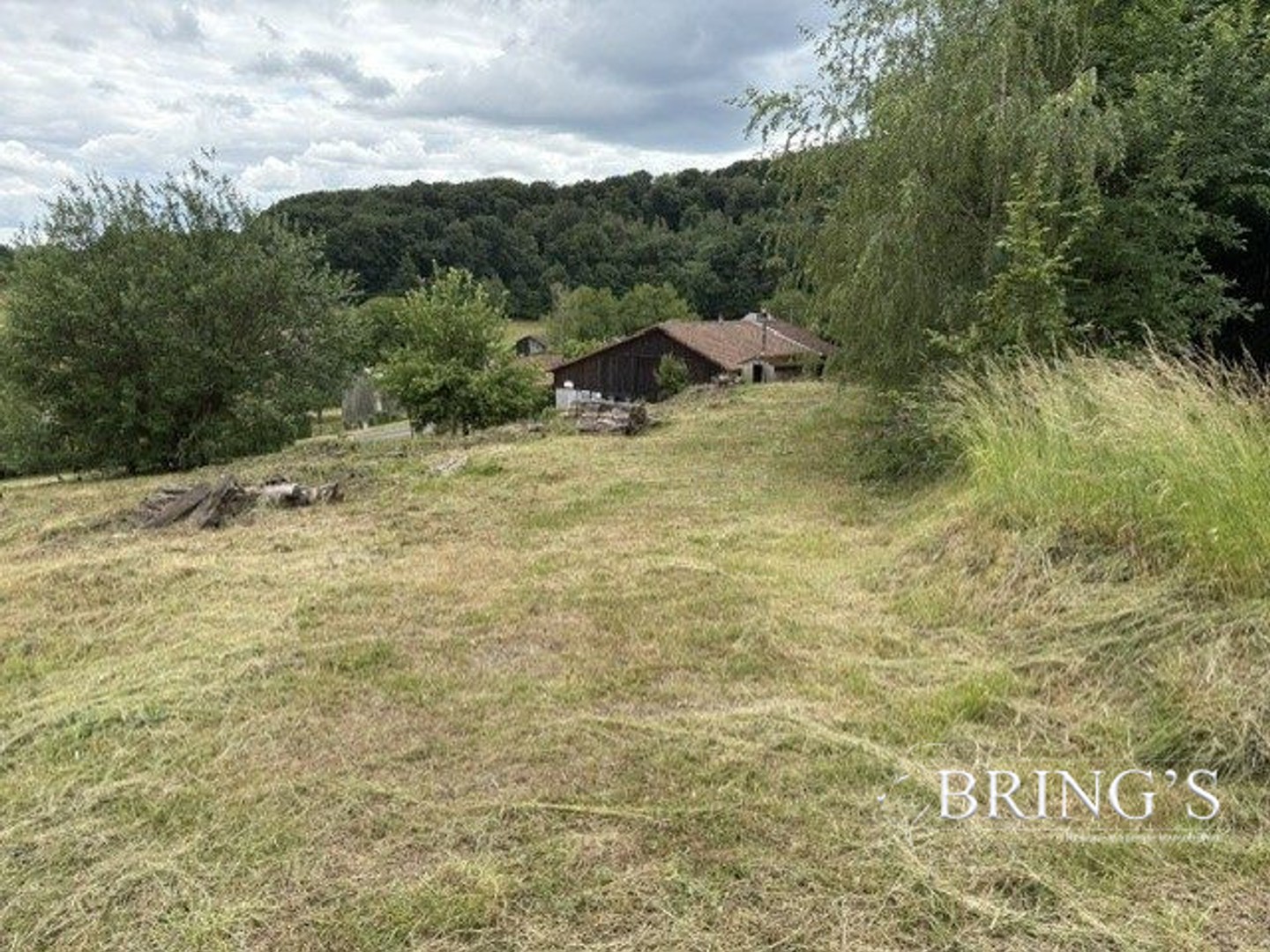 Terrain à vendre - Aubréville (55120)