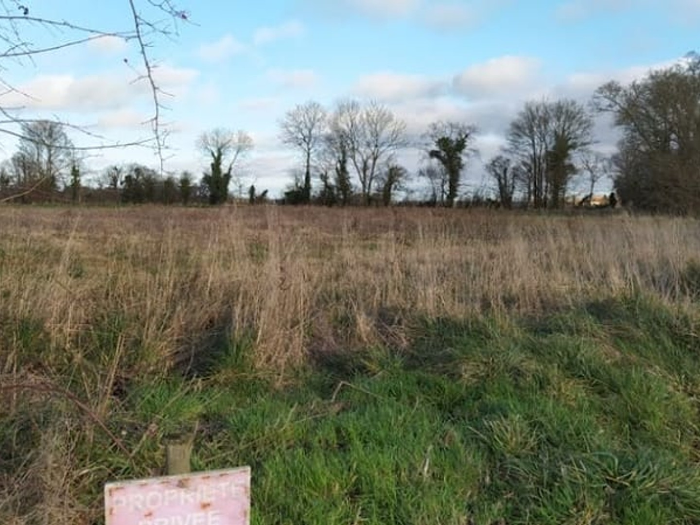 Terrain à vendre - 413m2 - Hottot-Les-Bagues (14250)