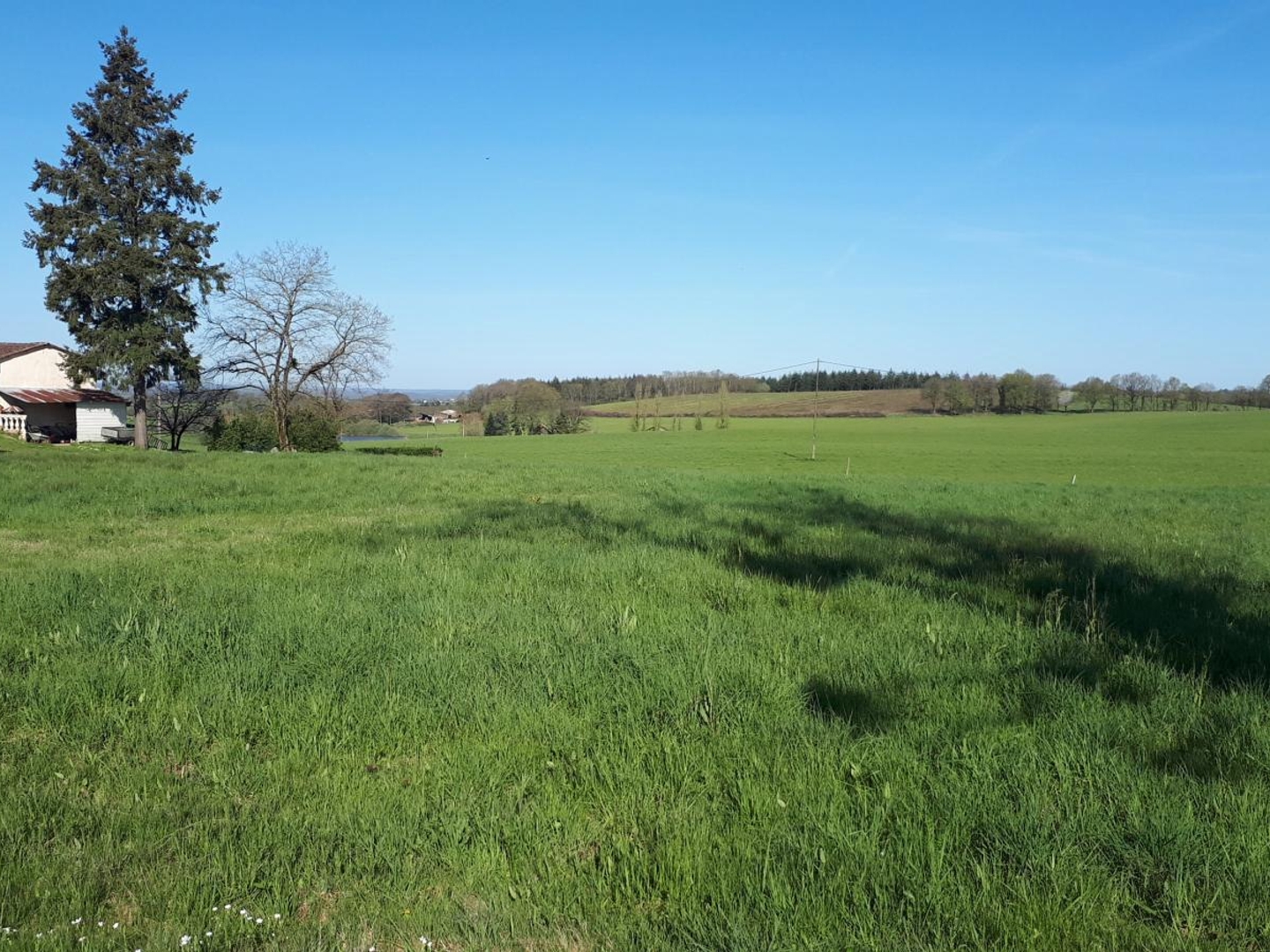 Terrain plat à bâtir