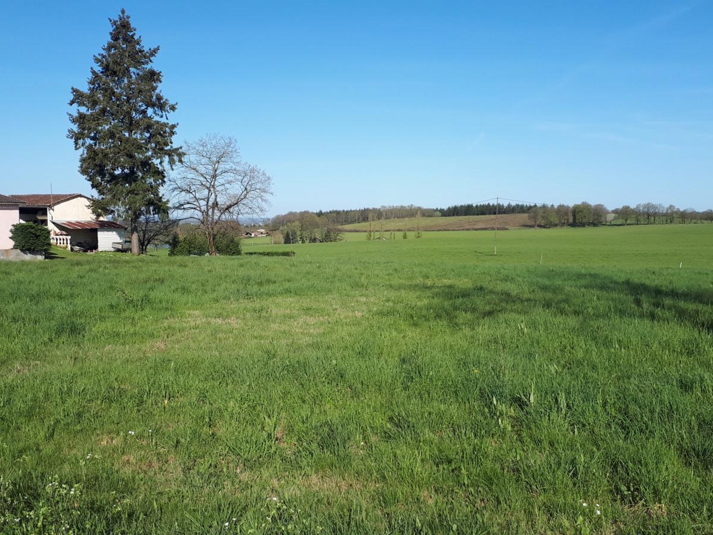 Terrain à vendre - 3300m2 - Nontron (24300)