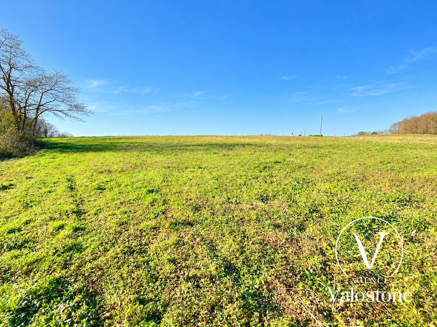 Terrain à vendre - 5710m2 - Monségur (40700)
