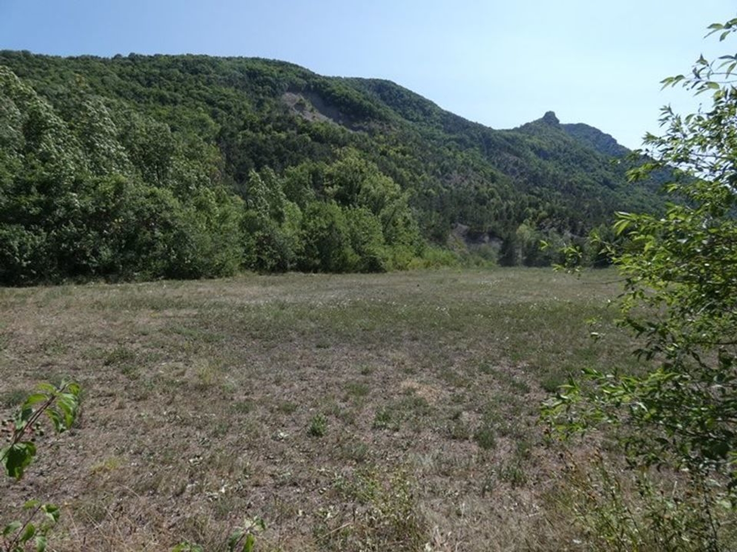 Terrain à vendre - 3170m2 - Le Saix (05400)
