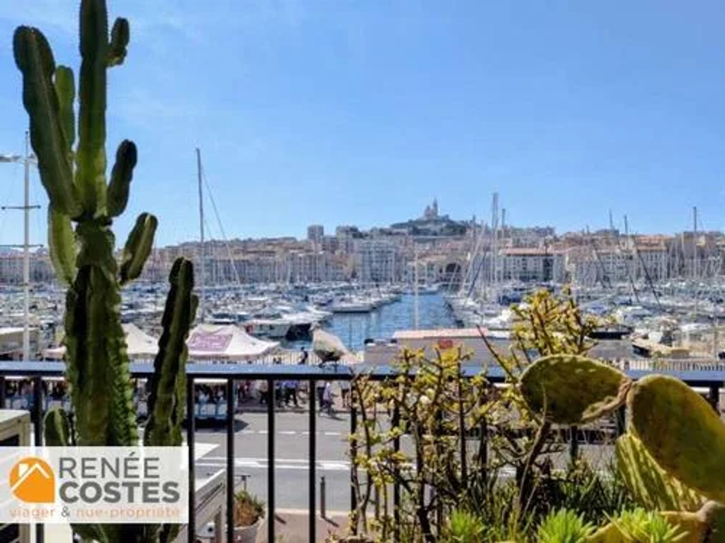 Viager 4 pièces 151 m²