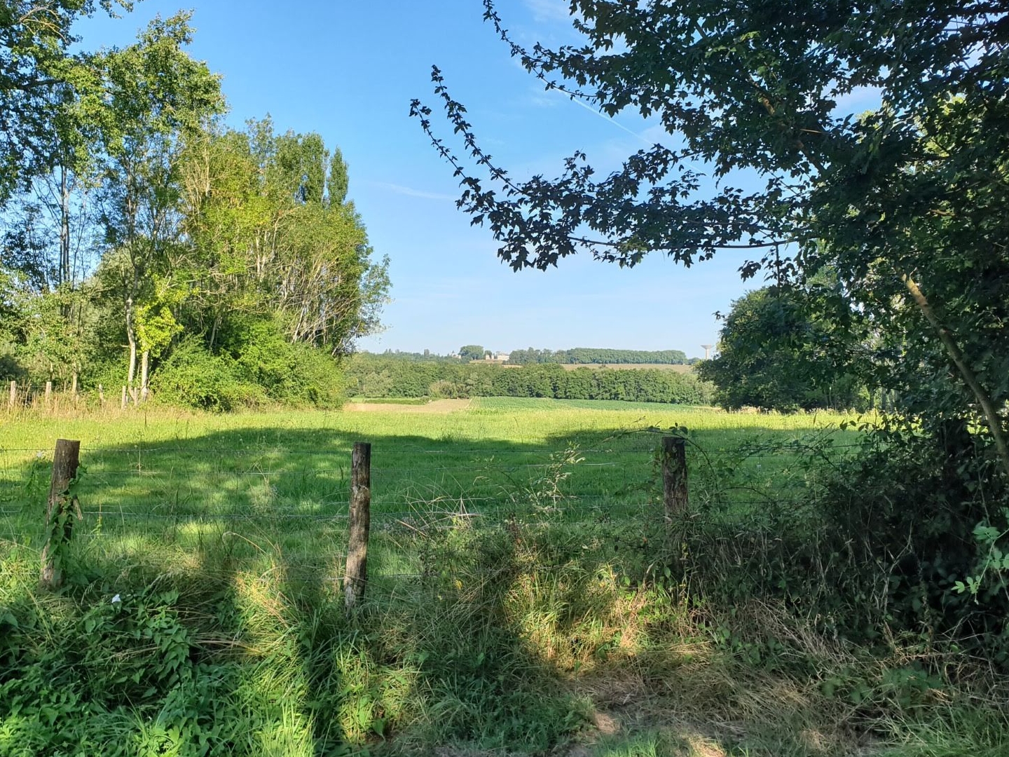 Maison à vendre - 87m2 - Cuisery (71290)