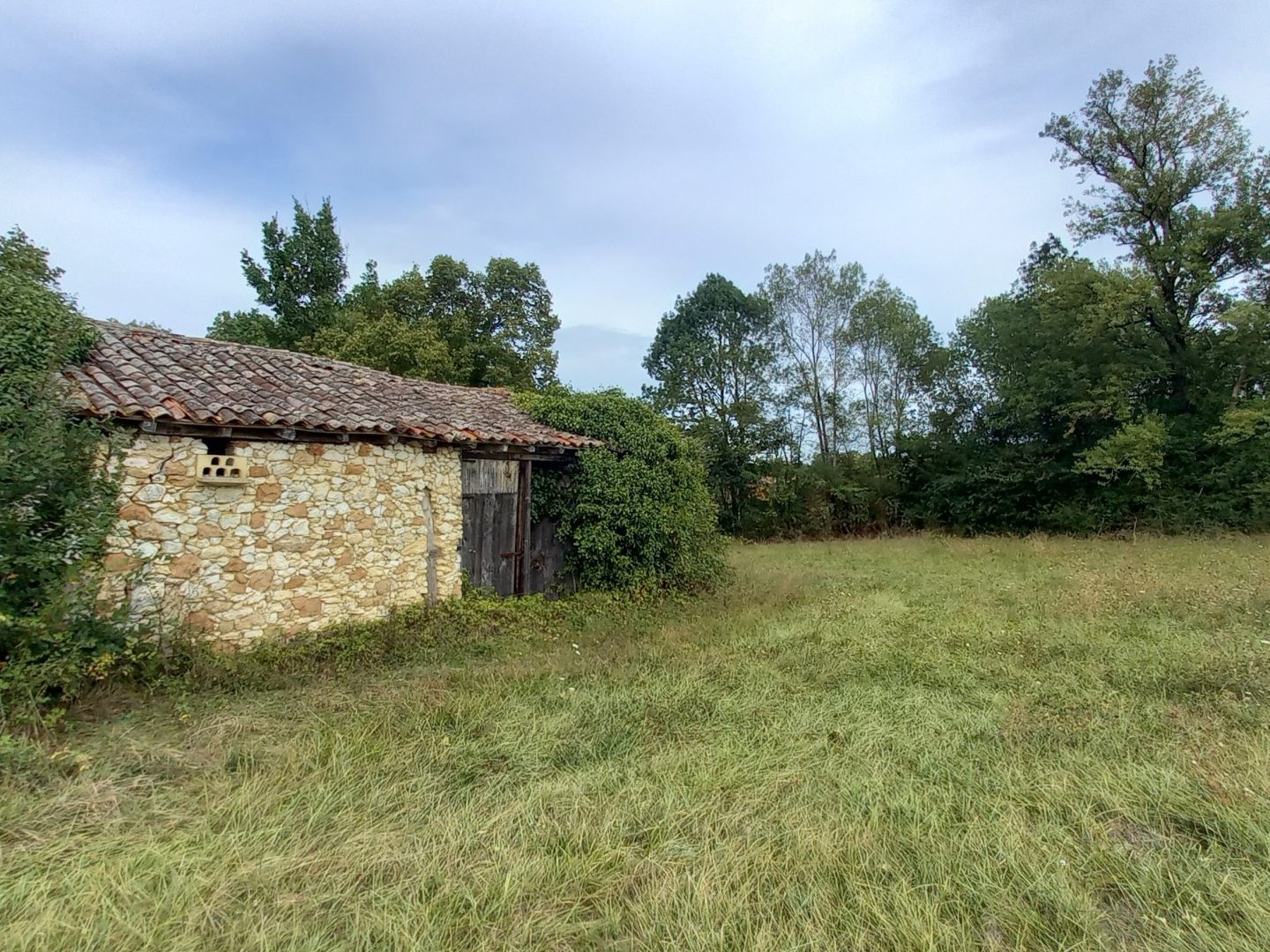 Terrain 21000 m²