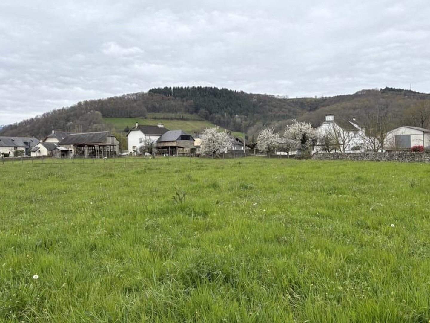 Terrain à vendre - Orincles (65380)